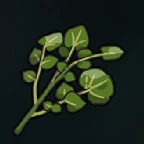 Bitter Herba Mystica sprite