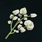 Salty Herba Mystica sprite